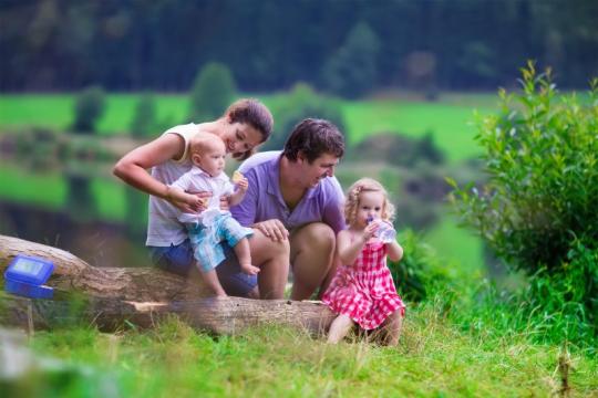 avocat droit famille